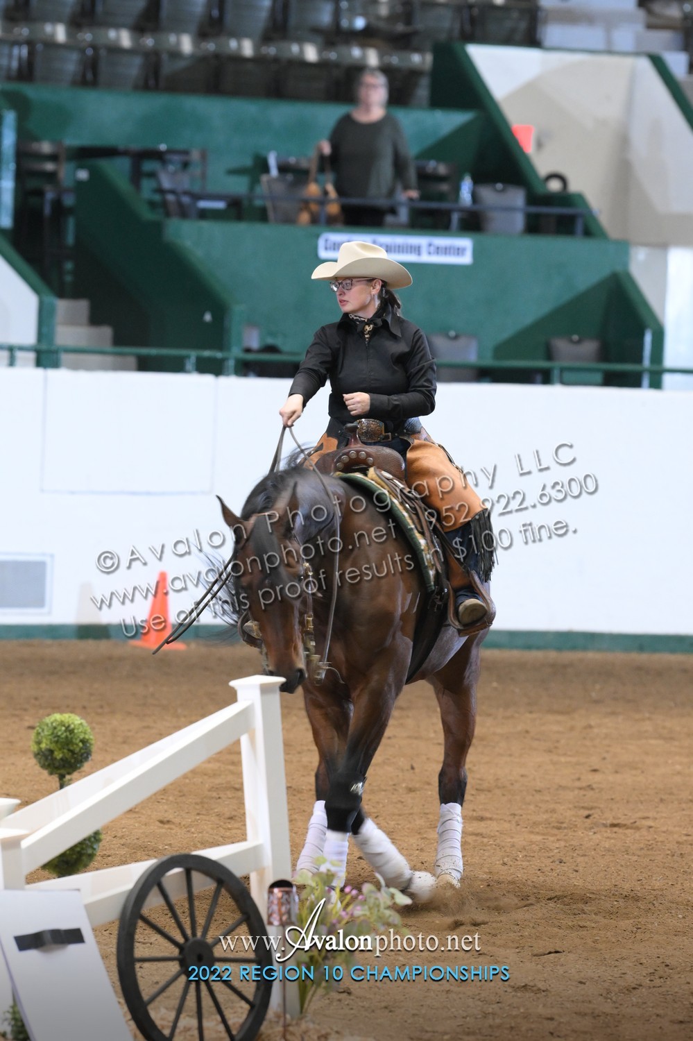 2022 Region 10 Championship Horse Show HORSE SHOW PROOFS 2022 Horse