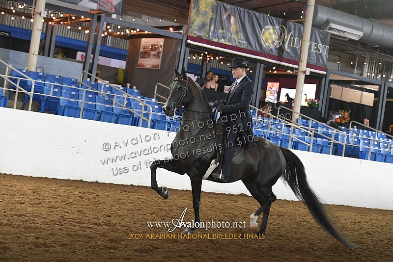 2026 Arabian National Breeder Finals